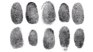 Handprints/Footprints/Fingerprints