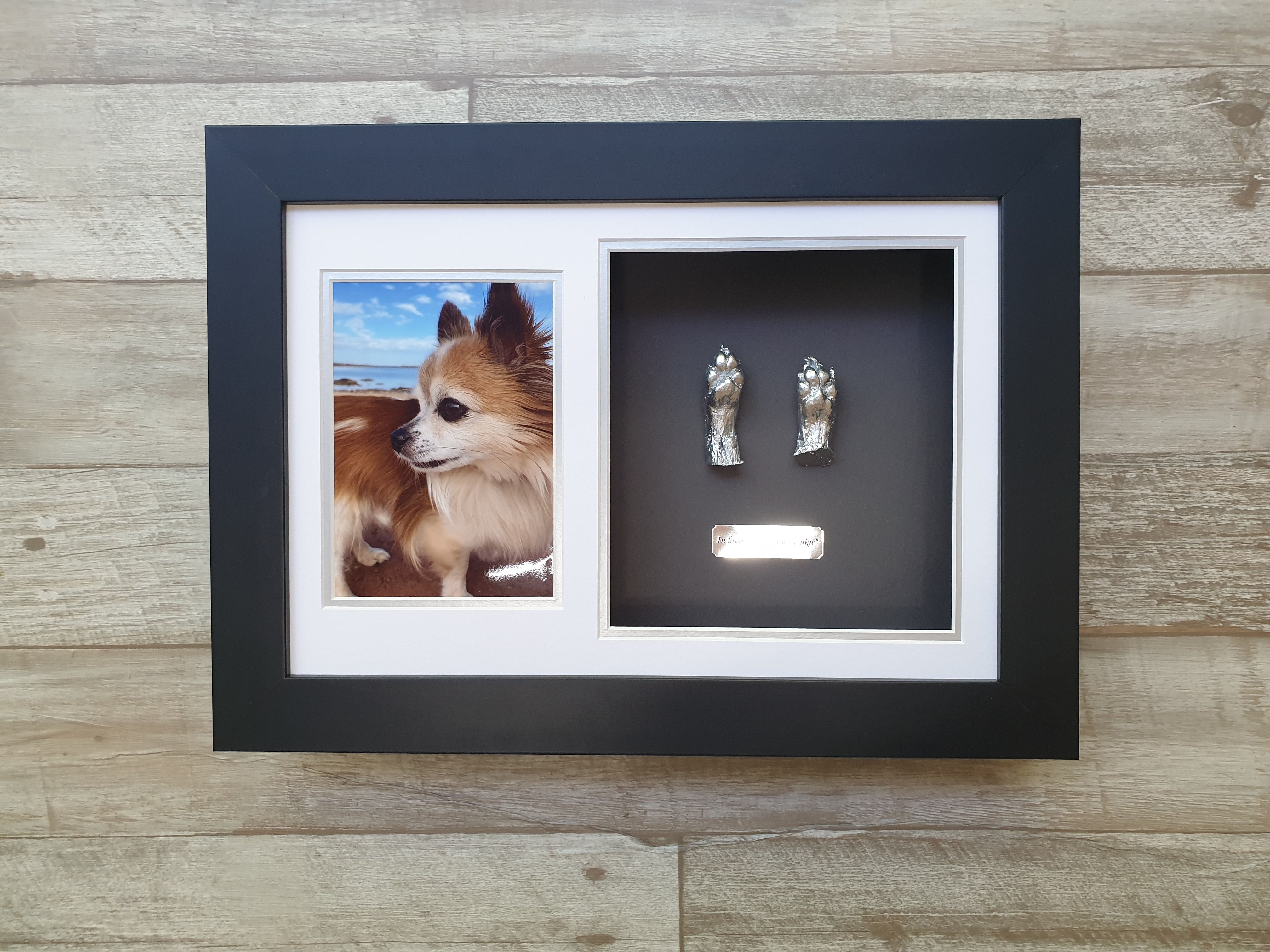 Pet Frames